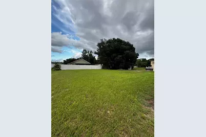 803 Wakefield Way, Kissimmee, FL 34758 - Photo 38