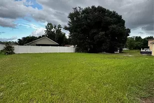 803 Wakefield Way, Kissimmee, FL 34758 - Photo 38