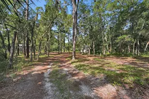 1530 Deermoss Ln, Deland, FL 32720 - Photo 58