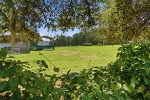 32416 Pine Rd, Eustis, FL 32736 - Photo 44