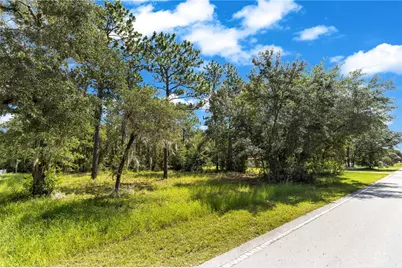 Lot 40 SW Marine Blvd, Dunnellon, FL 34431 - Photo 2