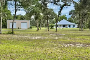 14190 NE 75th St, Bronson, FL 32621 - Photo 1
