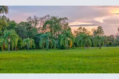 909 S County Road 3, Pierson, FL 32180 - Photo 36