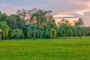 909 S County Road 3, Pierson, FL 32180 - Photo 36