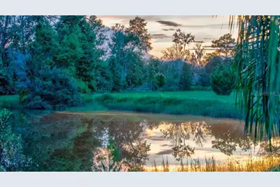 909 S County Road 3, Pierson, FL 32180 - Photo 4
