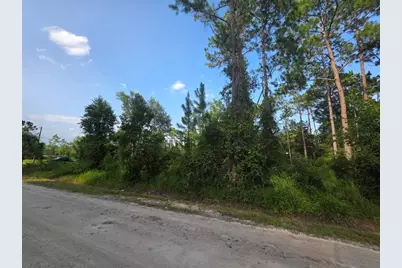 1233 East Parkway, Deland, FL 32724 - Photo 6
