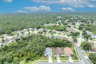 3149 Red Berry Ct, Deltona, FL 32725 - Photo 44