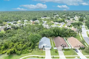 3149 Red Berry Ct, Deltona, FL 32725 - Photo 42