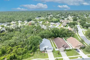 3149 Red Berry Ct, Deltona, FL 32725 - Photo 38