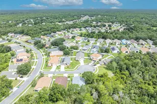 3149 Red Berry Ct, Deltona, FL 32725 - Photo 46