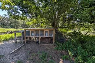 123 Amos Rd, Crescent City, FL 32112 - Photo 26
