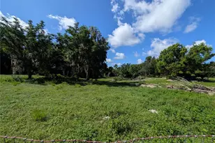 123 Amos Rd, Crescent City, FL 32112 - Photo 34