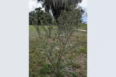 123 Amos Road, Crescent City, FL 32112 - Photo 26