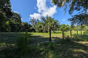 123 Amos Rd, Crescent City, FL 32112 - Photo 24