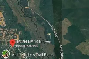 16454 NE 141st Ave, Fort Mc Coy, FL 32134 - Photo 12