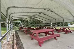 225 Gardenia Ave, Georgetown, FL 32139 - Photo 16