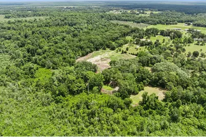 2040 Holly Hammock Road, De Leon Springs, FL 32130 - Photo 14