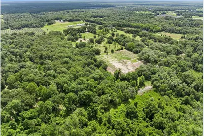 2040 Holly Hammock Road, De Leon Springs, FL 32130 - Photo 12