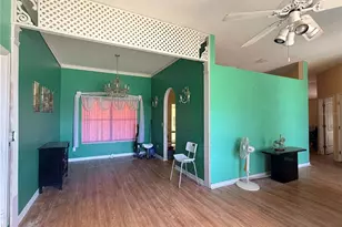 1011 Scenic View Cir, Minneola, FL 34715 - Photo 8