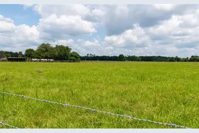Daugharty Rd., Deland, FL 32720 - Photo 6