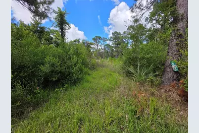 4863 Meadow Green Road, Mims, FL 32754 - Photo 2