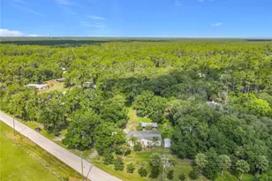 1116 Emporia Rd, Pierson, FL 32180 - Photo 6