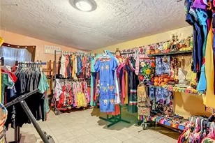 1116 Emporia Rd, Pierson, FL 32180 - Photo 34