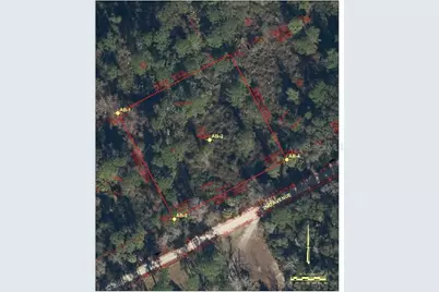 212 N 2nd Avenue, Satsuma, FL 32189 - Photo 4