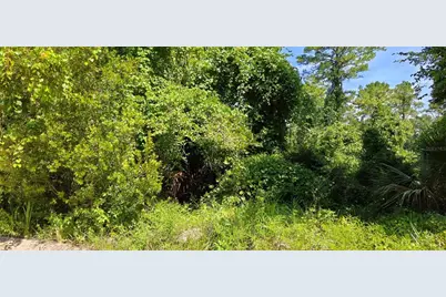212 N 2nd Avenue, Satsuma, FL 32189 - Photo 1