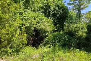 212 N 2nd Ave, Satsuma, FL 32189 - Photo 1