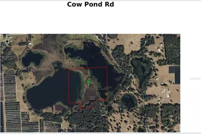 Cow Pond Road, Seville, FL 32190 - Photo 1