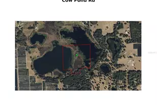 Cow Pond Rd, Seville, FL 32190 - Photo 1