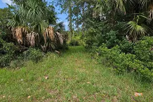1715 Tatum Blvd, New Smyrna Beach, FL 32168 - Photo 1