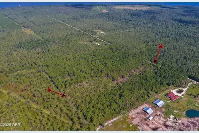 00 Ninemile Point Road, Pierson, FL 32180 - Photo 10