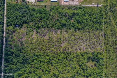 00 Ninemile Point Road, Pierson, FL 32180 - Photo 12