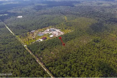 00 Ninemile Point Road, Pierson, FL 32180 - Photo 6