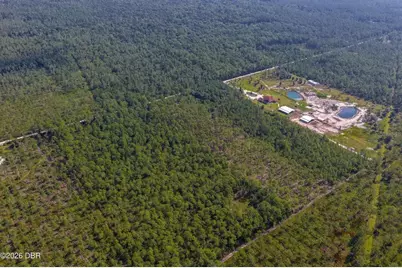 00 Ninemile Point Road, Pierson, FL 32180 - Photo 16