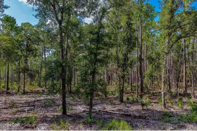 00 Ninemile Point Road, Pierson, FL 32180 - Photo 4