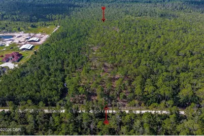 00 Ninemile Point Road, Pierson, FL 32180 - Photo 8