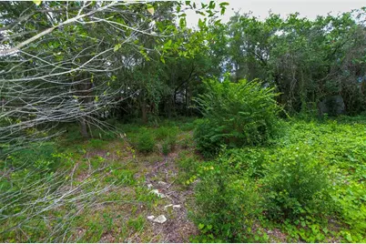 3596 W Ivy Street, Dunnellon, FL 34433 - Photo 46