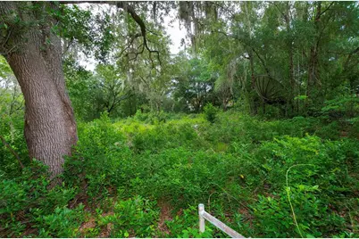 3596 W Ivy Street, Dunnellon, FL 34433 - Photo 50