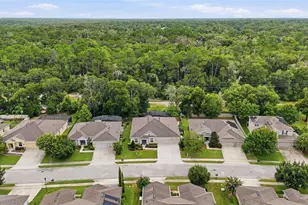 517 Morgan Wood Dr, Deland, FL 32724 - Photo 62