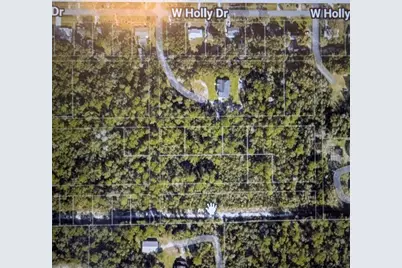 Nelson Avenue, Orange City, FL 32763 - Photo 4