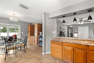503 Dorothy Cir, Eustis, FL 32726 - Photo 10