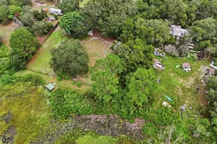 31622 Another Anna Rd, Deland, FL 32720 - Photo 62