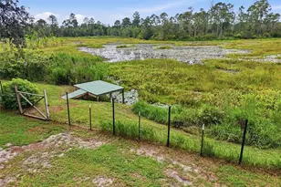 31622 Another Anna Rd, Deland, FL 32720 - Photo 50