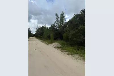 St Claire Lake Drive, Deland, FL 32720 - Photo 4