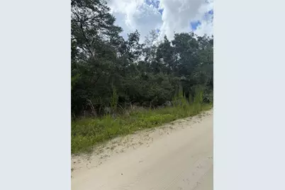 St Claire Lake Drive, Deland, FL 32720 - Photo 16