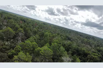 St Claire Lake Drive, Deland, FL 32720 - Photo 12