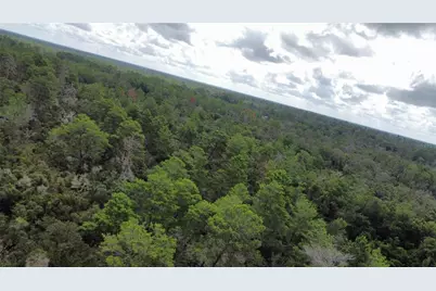 St Claire Lake Drive, Deland, FL 32720 - Photo 4